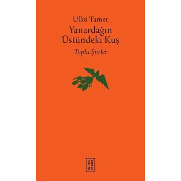 TCX Yanardağın Üstündeki Kuş
