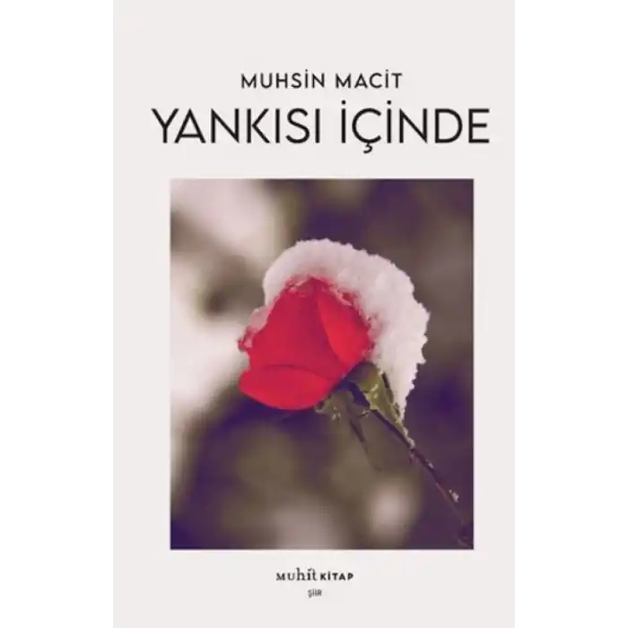 TCX Yankısı İçinde