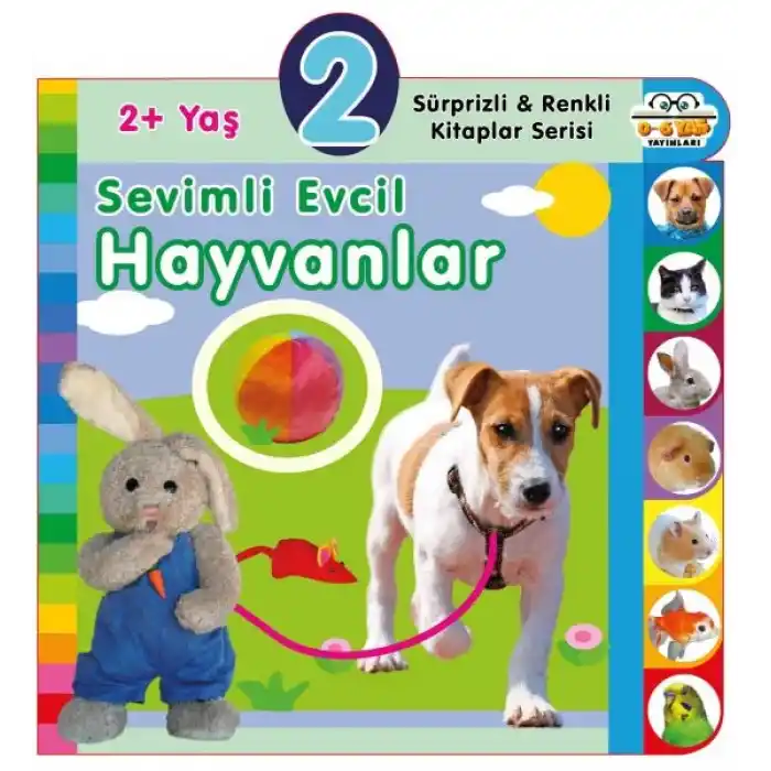 TCX Yaş Sevimli Evcil Hayvanlar (2+Yaş)