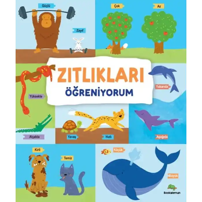 TCX Zıtlıkları Öğreniyorum