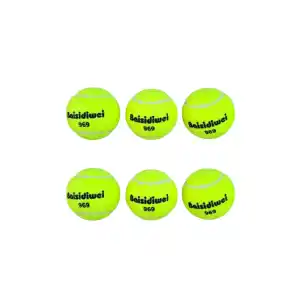 Pratik 6lı Tenis Topu Seti Açık Alan Kullanımı