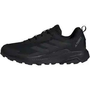 adidas TERREX ANYLANDER Ayakkabı Düşük Taban (Futbol Dışı) Erkek