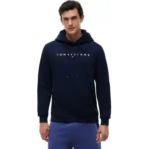 Tommy Jeans TJM REG LINEAR LOGO HOODIE EXT Sweatshirt Erkek