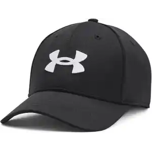 Under Armour Erkek UA Blitzing Cap