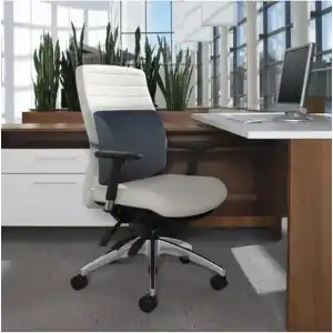 Whiteblanco Ortopedik Ofis Koltuk Sandalye Bel Destek Yastık Minderi Sırt Dayama Yastığı