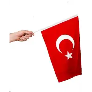 Lona Sanat Sopalı Türk Bayrağı 40X60 Cm Alpaka Kumaş - 10 Adet,10 sopalı 50x70-