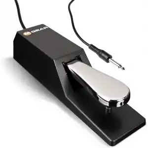M-AUDIO SP-2 Evrensel Sustain Pedalı