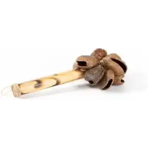 Bambu Coconat Mangis Marakas Müzik Aleti