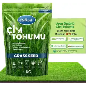Çok Yıllık Çim Tohumu 1 Kg Uzun Ömürlü 6lı Karışım Gölge ve Aşırı Güneşli Alan Uygun Yetiştirilmesi Kolay 4 Mevsim Yeşil