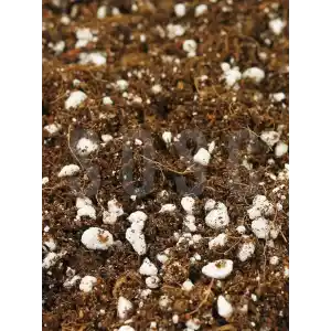 SUBSTRAT LIGHT MIX Ithal Sphangum Torfu Cocopeat Perlit Özel Karışım Saksı Harcı Çiçek Ve Bitki Toprağı 1 LT
