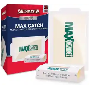 Catchmaster Max-Catch Fare ve Böcek Tutkal Tuzağı 36 Paket, Ev için Fare Kapanı İç Mekan, Böcekleri, Sıçanları ve Kemirgenleri Yakalamak için Yapışkan Tepsi, Toksik Olmayan Dökme Kokusuz Tutkal