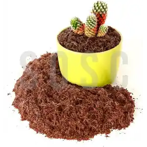 Hindistan Cevizi Torfu%100 Doğal Torf - Cocopeat Hindistan Cevizi Lifi - Doğal Bitki Toprağı 1 Lt