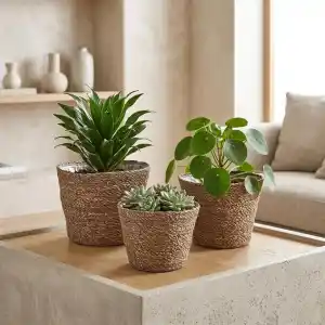 Deconox 3lü Yuvarlak Hasır Saksı Seti, El Yapımı Doğal Dokulu İç Astarlı Dekoratif Saksı, Büyük 25x18 cm Orta 22x15 cm Küçük 20x13 cm, Geri Dönüşüme Uygun Hasır Set