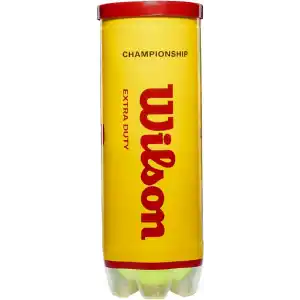 Wilson Champ Extra Duty Tennis Balls