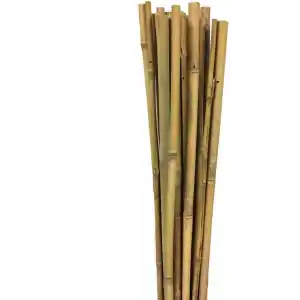 Gardener 163702 Bambu Destek Çubuğu 10Lu - 6-8 Mm X 60 Cm