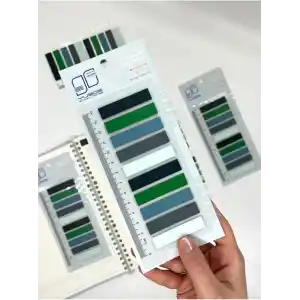 10 Renkli Cetvelli Gri ve Yeşil Tonları İndeks Sticker/İndex/Postit/Kitap Ayracı/Not Kağıdı
