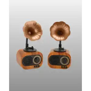 Taşınabilir Retro Hoparlör 5W Bluetooth FM Radyo