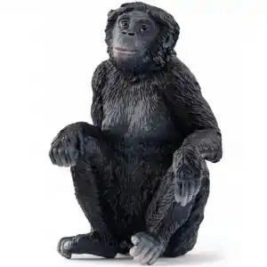 1 Adet Fiyatı ile Kaliteli Ürün (Bonobo Model)