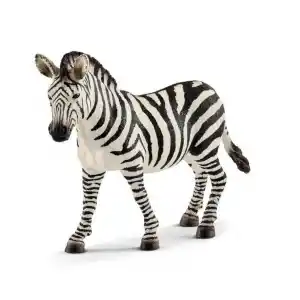 Zebra Desenli Dişi 1 Adet Dekoratif Ürün