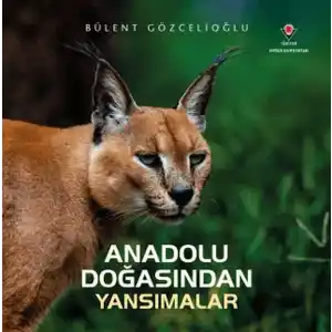 TCX Anadolu Doğasından Yansımalar