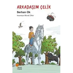 TCX Arkadaşım Çelik