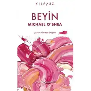 TCX Beyin