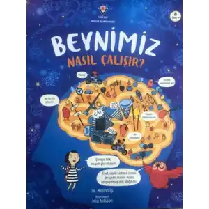 TCX Beynimiz Nasıl Çalışır?