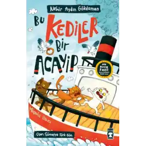 TCX Bu Kediler Bir Acayip