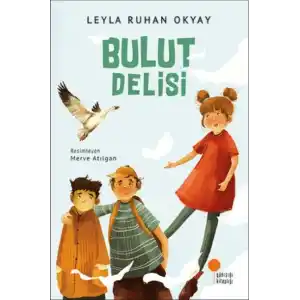 TCX Bulut Delisi