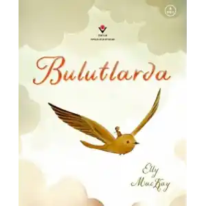 TCX Bulutlarda