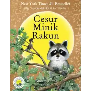 TCX Cesur Minik Rakun