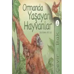 TCX Çevir Bak Ormanda Yaşayan Hayvanlar