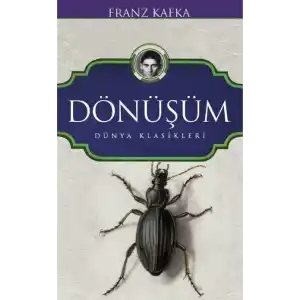 TCX Dönüşüm
