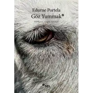 TCX Göz Yummak
