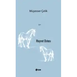 TCX Hayret Ustası