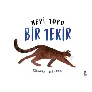 TCX Hepi Topu Bir Tekir