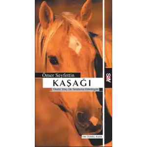 TCX Kaşağı