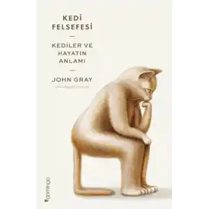 TCX Kedi Felsefesi