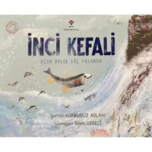 TCX  Kefali