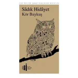 TCX Kör Baykuş