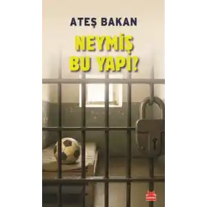 TCX Neymiş Bu Yapı?