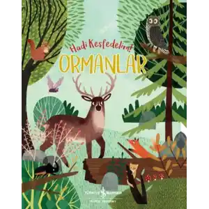 TCX Ormanlar - Hadi Keşfedelim!