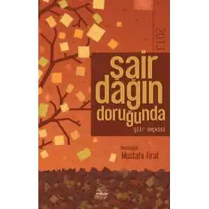 TCX Şair Dağın Doruğunda 2013