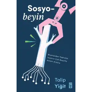 TCX Sosyobeyin