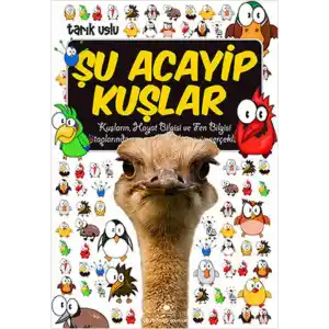 TCX Şu Acayip Kuşlar