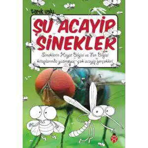 TCX Şu Acayip Sinekler