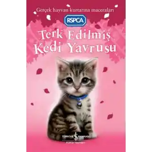TCX Terk Edilmiş Kedi Yrusu