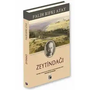 TCX Zeytindağı (Ciltli)