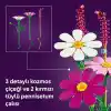 LEGO Botanicals Kozmos Çiçekleri 11514