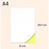 nexup label A4 Etiket Yapışkanlı | 100 Sayfa Adres etiketi 210x297 mm - 100 Sayfa Çok amaçlı Universal Etiketler - Adres Etiketler - Beyaz Etiket